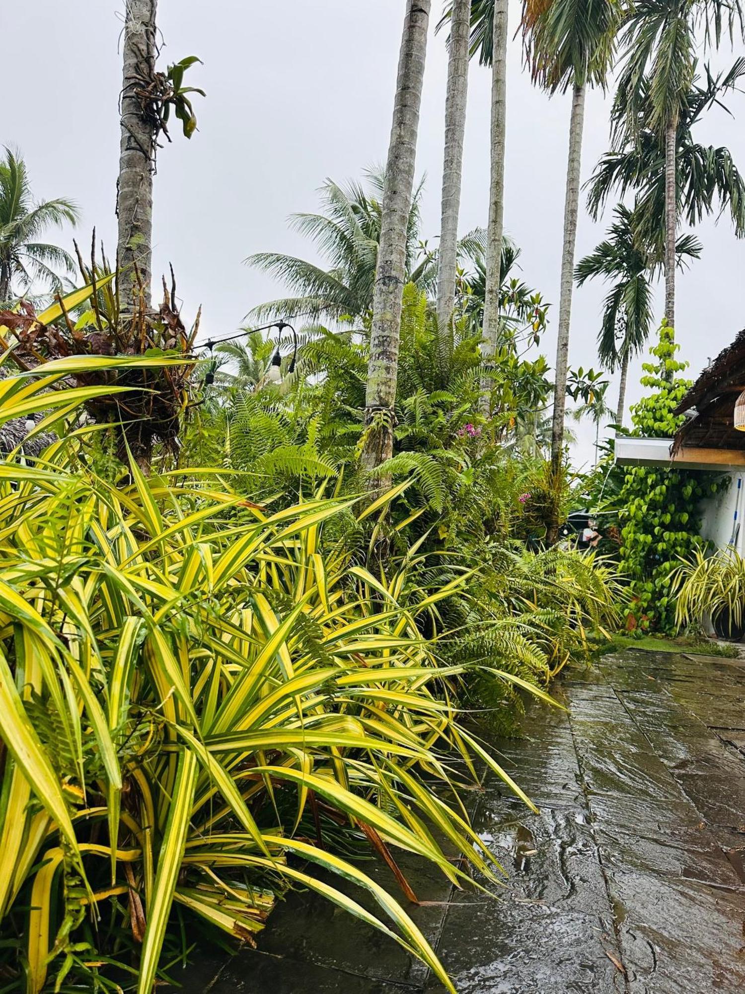 Water Palm Residence Hieu Nhon Kültér fotó